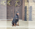 Small #4 Breeder Profile image