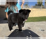 Small #1 Breeder Profile image