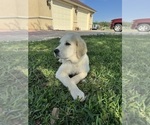 Small #6 Breeder Profile image