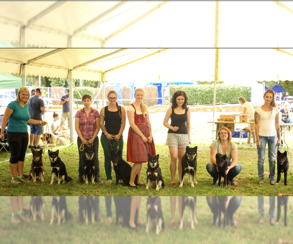 Medium Photo #5  Breeder Profile in BOCA RATON, FL, USA