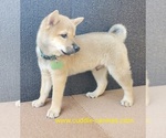 Small breeder photo
