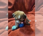Small #22 Breeder Profile image