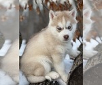 Small #53 Breeder Profile image