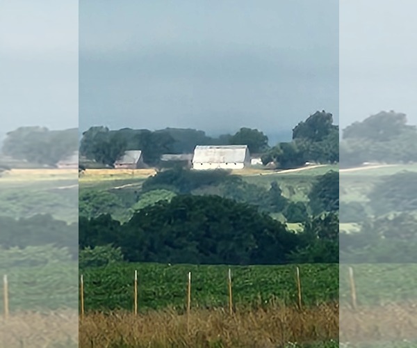 Medium Photo #2  Breeder Profile in FORT SCOTT, KS, USA