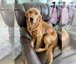 Small #7 Breeder Profile image