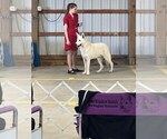 Small #11 Breeder Profile image
