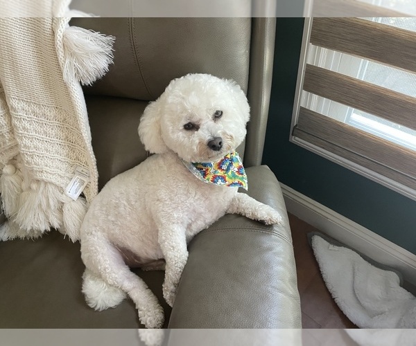 Medium Photo #31  Breeder Profile in PICKFORD, MI, USA