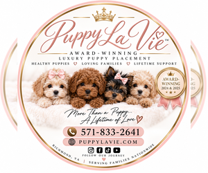 Yorkshire Terrier Dog Breeder near GLEN ALLEN, VA, USA