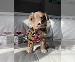 Small #32 Breeder Profile image
