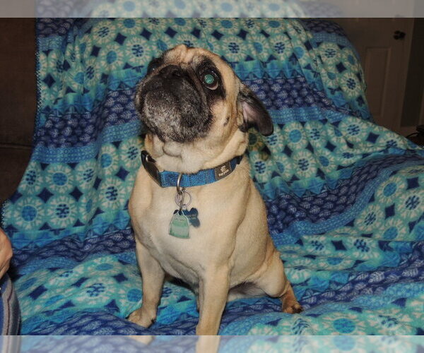 Medium Photo #3  Breeder Profile in SALEM, OR, USA