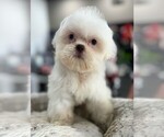 Small #27 Breeder Profile image