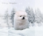 Small #17 Breeder Profile image