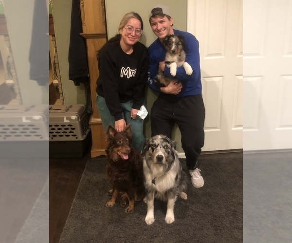 Medium Photo #82  Breeder Profile in SUNNYVALE, CA, USA