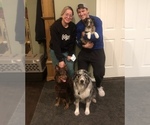 Small #81 Breeder Profile image