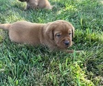 Small #4 Breeder Profile image