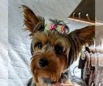 Small #2 Breeder Profile image