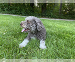 Small #19 Breeder Profile image