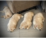 Small #5 Breeder Profile image