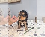 Small #2 Breeder Profile image