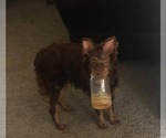 Small #10 Breeder Profile image