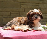 Small #47 Breeder Profile image