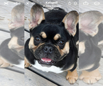 Small #30 Breeder Profile image