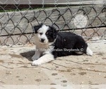 Small #10 Breeder Profile image