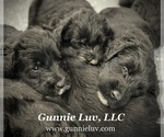 Small breeder photo