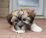 Small #46 Breeder Profile image