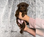 Small #97 Breeder Profile image