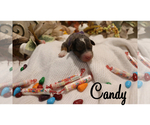 Small #3 Breeder Profile image