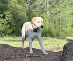 Small #5 Breeder Profile image