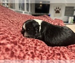 Small #5 Breeder Profile image