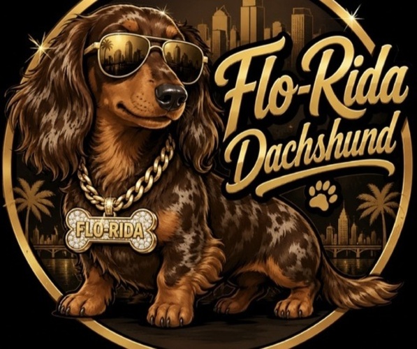 Medium Photo #1  Breeder Profile in SEBRING, FL, USA