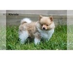 Small #5 Breeder Profile image