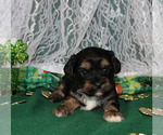 Small #23 Breeder Profile image