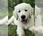 Small #2 Breeder Profile image