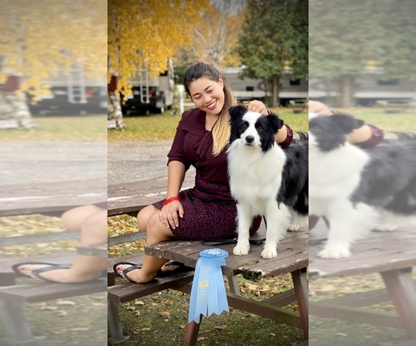 Medium Photo #6  Breeder Profile in BRYANTOWN, MD, USA