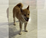 Small #8 Breeder Profile image