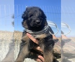 Small #63 Breeder Profile image