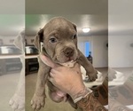 Small #2 Breeder Profile image