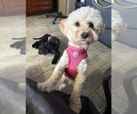 Small #11 Breeder Profile image