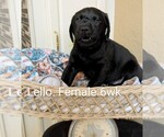 Small #3 Breeder Profile image