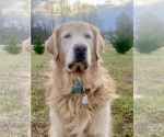 Small #4 Breeder Profile image