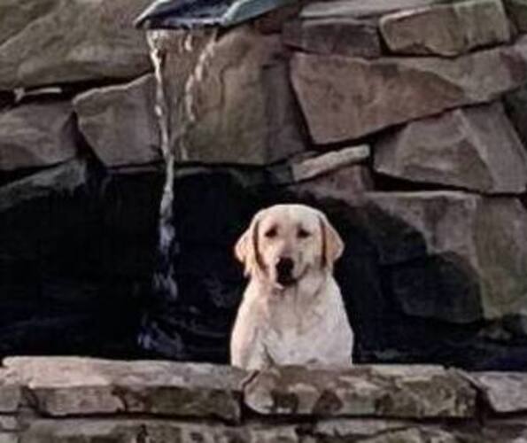 Medium Photo #1  Breeder Profile in HAMMOND, NY, USA