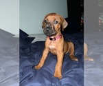 Small #54 Breeder Profile image