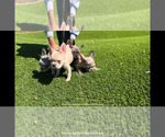 Small #5 Breeder Profile image