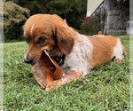 Small #10 Breeder Profile image