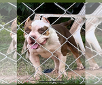 Small #11 Breeder Profile image