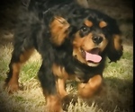 Small #7 Breeder Profile image